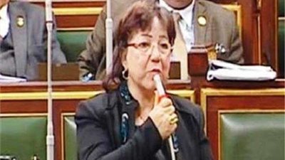 برلمانية: أردوغان وجد في ليبيا مبتغاه لتصدير الإرهاب إلى مصر