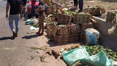 إصابة 12 عامل في حادث مروع بالطريق الإقليمي بالشرقية