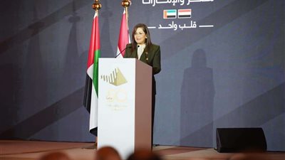 السعيد: العلاقات المصرية الإماراتية تمثّل نموذجاً استثنائياً للعلاقات العربية- العربية