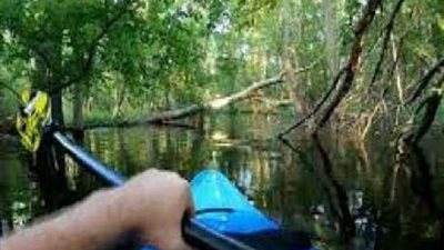 شاهد.. رجل ينجو من بين فكي تمساح بأعجوبة