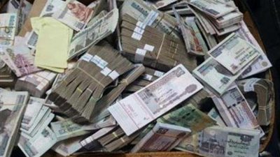 ضبط المتهم بانتحال صفة تاجر للنصب والاحتيال على المواطنين بالدقهلية