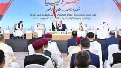 مصطفى الكمار: الشعب المصري يقف خلف القيادة السياسية في أي قرار