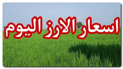 توقعات سعر الأرز خلال الأيام القادمة بعد ارتفاع سعر الدولار