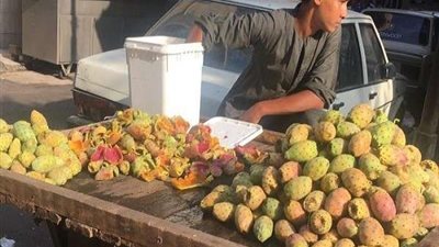 تعرف على فوائد التين الشوكى المذهلة لتعزيز الصحة وعلاج الأمراض