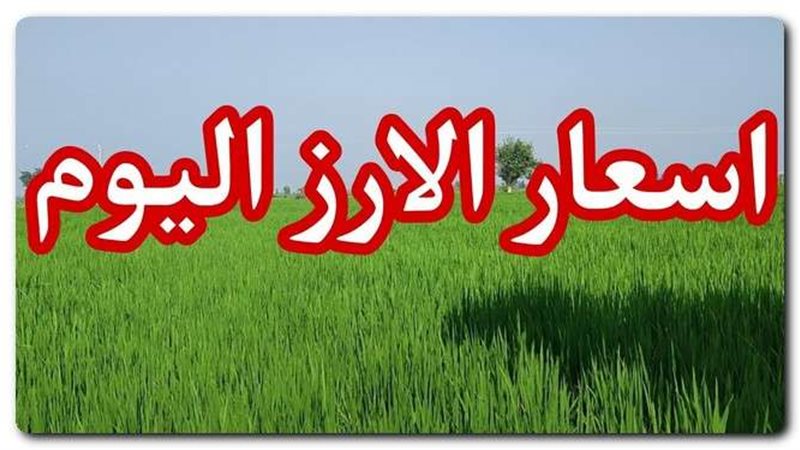 سعر الأرز