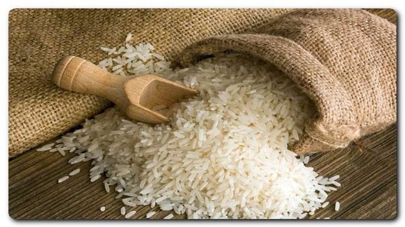 أسعار الأرز اليوم