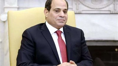 بكري: الرئيس السيسي لا يتوقف عن المتابعات والجولات لتفقد المشروعات