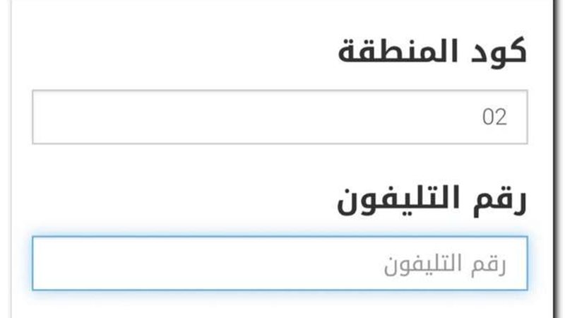 الاستعلام عن فاتورة