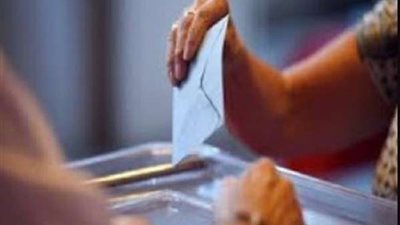 اليوم.. بدء الطعون في انتخابات مجلس الشيوخ.. والقوائم النهائية الأحد