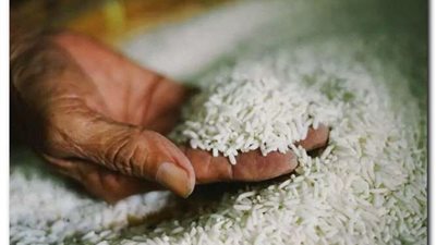 شركة الضحى توافق على تخفيض سعر الأرز بالتعاون مع وزارة التموين