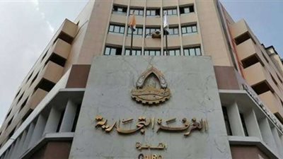 شعبة المستوردين : تحرير سعر الدولار سيكون له أثر إيجابي على الصناعة في مصر