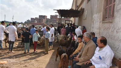 جامعة مدينة السادات تنظم قافلة بيطرية وزراعية مجانية بكفر 