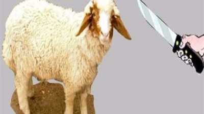 ننشر خطوات التبرع بـ 