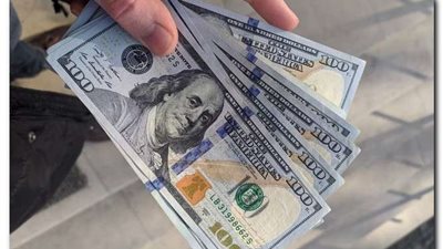 استمرار الاستقرار في سعر الدولار اليوم الأحد 30 أكتوبر 2022 في مصر