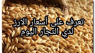 ثبات في أسعار الأرز اليوم الأحد 30/10/2022 لدى جميع التجار في الأسواق المصرية