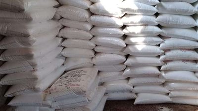 متابعة توافر الخدمات الزراعية وإزالة التعديات ومواجهة البناء المخالف ببني سويف