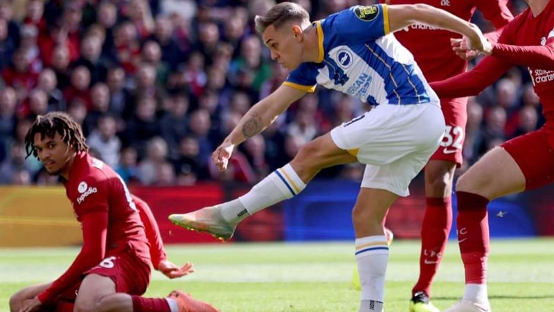 برايتون وليفربول