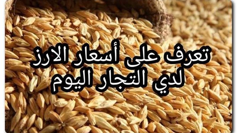 أسعار الأرز اليوم