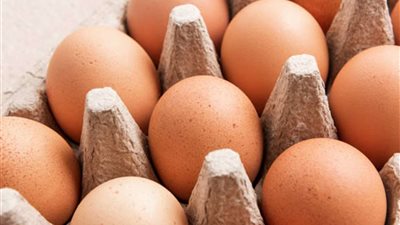 شعبة الدواجن: انخفاض فى أسعار البيض من 3 لـ 5 جنيهات