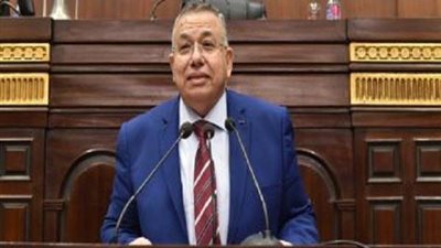 وكيل البرلمان يكشف كواليس جلسة اليوم لتفويض 