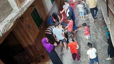 محافظ المنيا يحٌظر ذبح الأضاحي بالطرق والشوارع وخارج المجازر المعتمدة