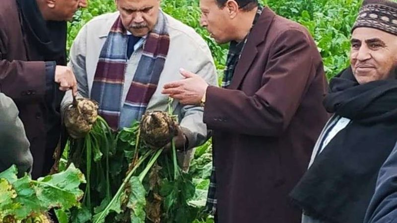 بلدنا اليوم