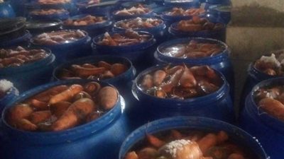 ضبط 4 مصانع لتصنيع المخللات غير مرخصة بحملة تموينية بالإسكندرية