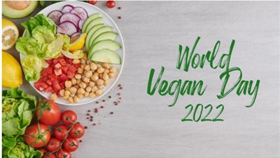 في اليوم العالمي للنباتيين.. لماذا يأكلون لحم الكنغر؟ «اعرف الحكاية»