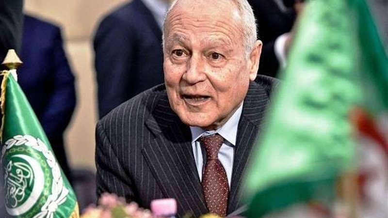 أبو الغيط