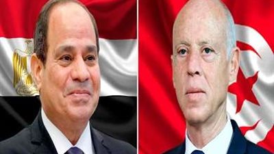 الرئيس التونسي للسيسي: نتطلع للاستفادة من تجربة مصر في تنفيذ المشروعات