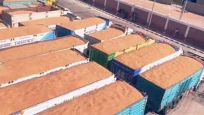 ميناء دمياط يستقبل 63 ألف طن قمح على متن سفينة فرنسية