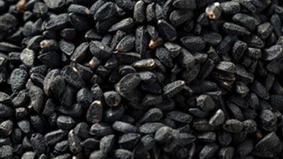 عالم الأعشاب.. الحبة السوداء اكتشاف جديد لعلاج فيروس كورونا