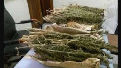 حبس 5 أشخاص لحيازتهم 1.5 كيلو فودو بحدائق القبة