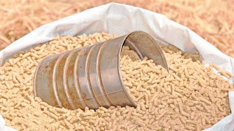 اعلاف حيوانية