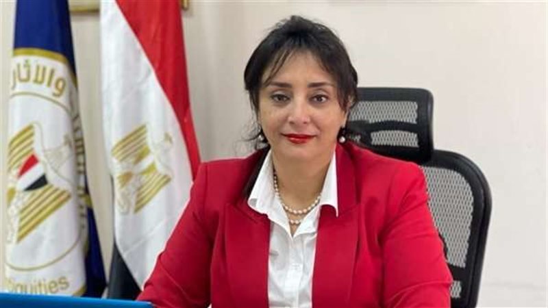 غادة شلبي، نائب وزير