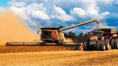 روسيا تساعد حلفائها للتغلب على أزمة الغذاء