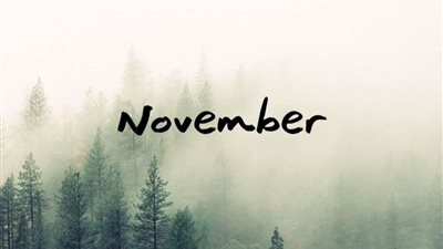 منظم.. شخصية مواليد 4 نوفمبر في علم الأرقام