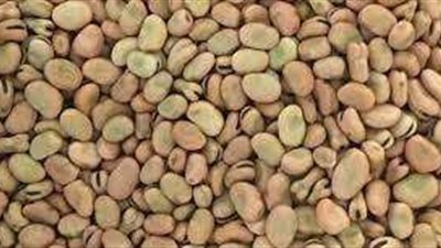 تعرف على سعر الفول اليوم الأحد 6 نوفمبر عند التجار