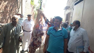 بيطري المنيا يحرر 24 مخالفة ويضبط 250 كجم لحوم