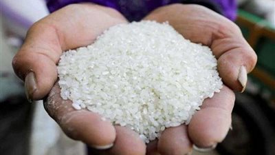 الكيلو بـ 12 جنيه.. التموين تضخ كميات من الأرز بالمجمعات الاستهلاكية