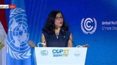 رئيس جامعة لندن للاقتصاد: البلاد النامية تحتاج إلى قروض لمواجهة التغيرات المناخية