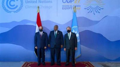 رئيس جيبوتى: يجب حشد الطاقات والموارد لحل آثار تغير المناخ