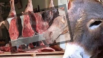 حلوان ولحم الحمير.. قصة 4 قضايا خلال شهر