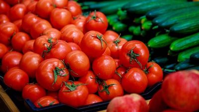 الكوسة بـ4 جنيه.. اعرف أسعار الخضروات اليوم الإثنين 7 نوفمبر بسوق العبور