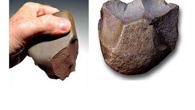 قبل 2 مليون سنة.. دراسة تكشف أقدم من عاش على أرض مصر ومهنته