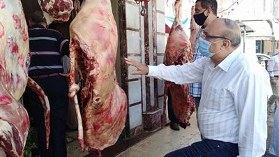 بالصور.. الرقابة الإدارية والتموين يشنان حملات مكثفة على أسواق اللحوم بالإسكندرية