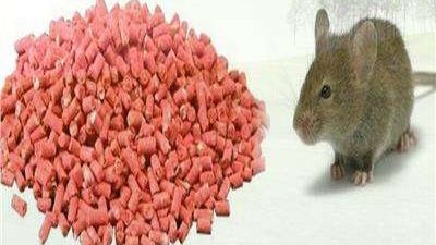 بسُم الفئران.. فتاة تحاول إنهاء حياتها لرفض والدها الزواج من حبيبها