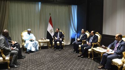 مدبولي: مصر تحرص على تعزيز العلاقات مع دولة مالي وتدعم وحدة أراضيها