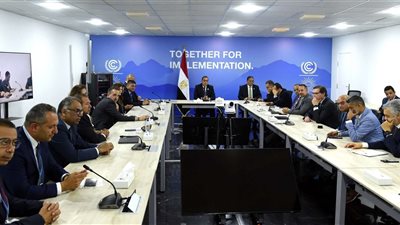ممثلو الشركات يؤكدون أن مصر باتت تلعب دورا محوريا بقضية المناخ في منطقتها
