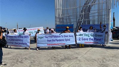 مشاركون بوقفة ترويجية للغذاء النباتي: جئنا لإنقاذ الأرض من شرم الشيخ